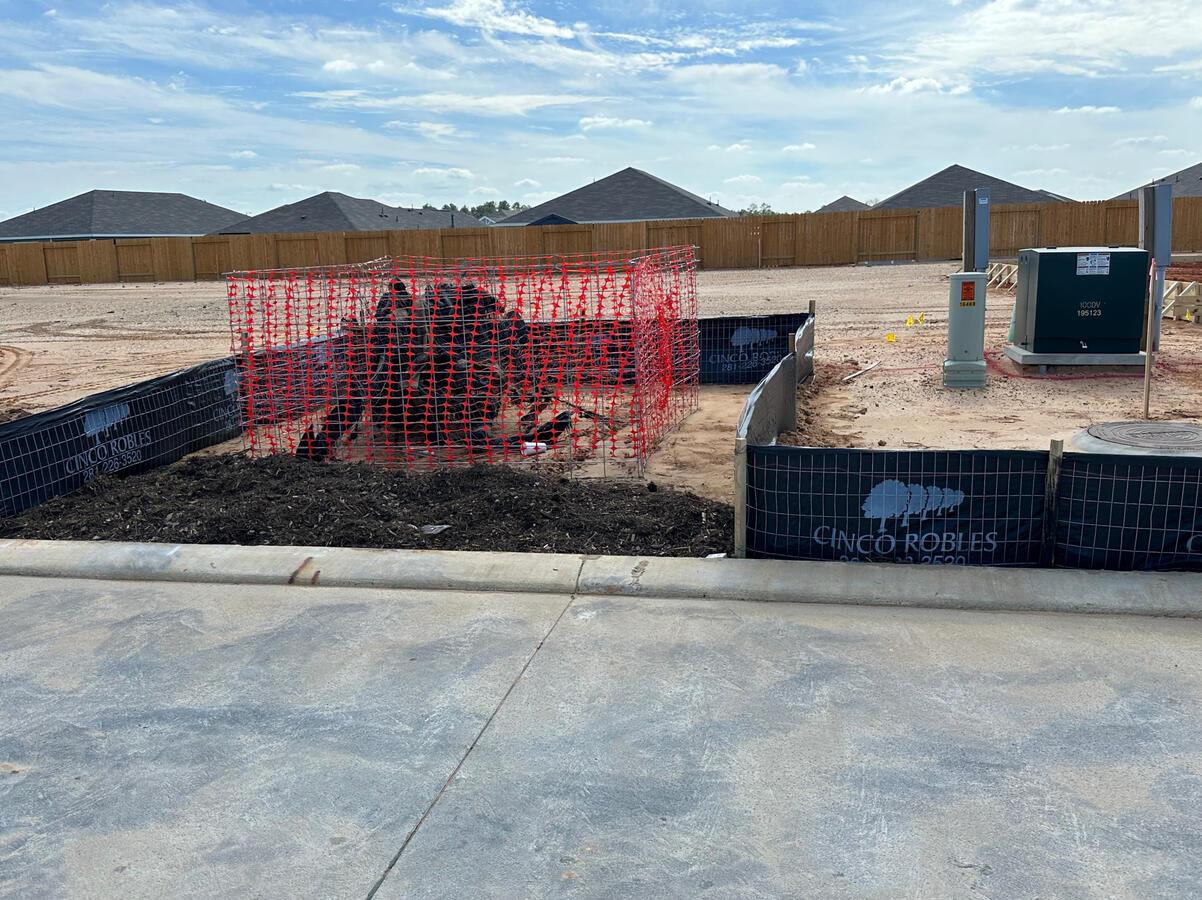 Silt Fencing Silt Fencing